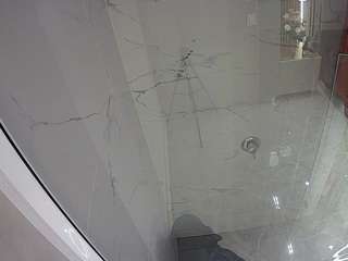 voyeurcam casa salsa bathroom 10